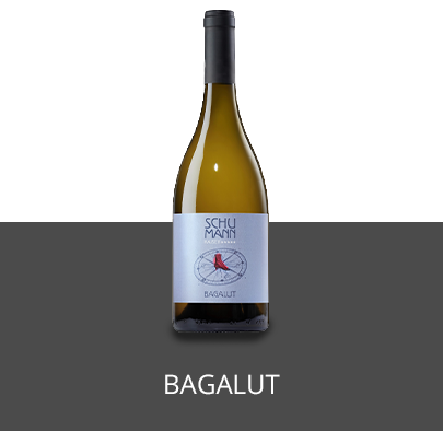 Bagalut 2021 Weissburgunder